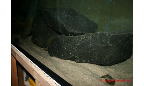 Schaubecken 900l 1